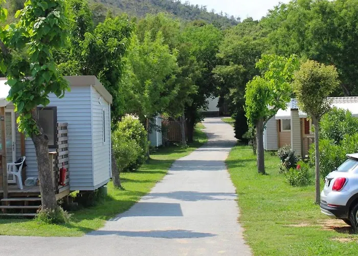 A Avec Terrasse - Api-1-52-273 Campsite Bormes-les-Mimosas