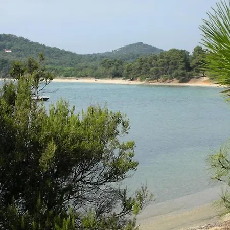 A Avec Terrasse - Api-1-52-273 * Bormes-les-Mimosas