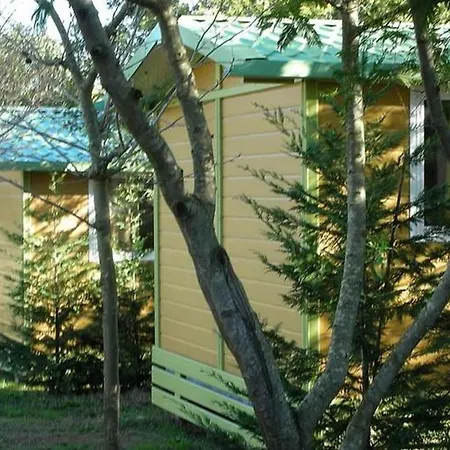 A Avec Terrasse - Api-1-52-273 Camping *
