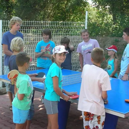 A Avec Terrasse - Api-1-52-273 Camping